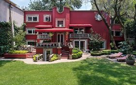 Hotel Pug Seal Coyoacan